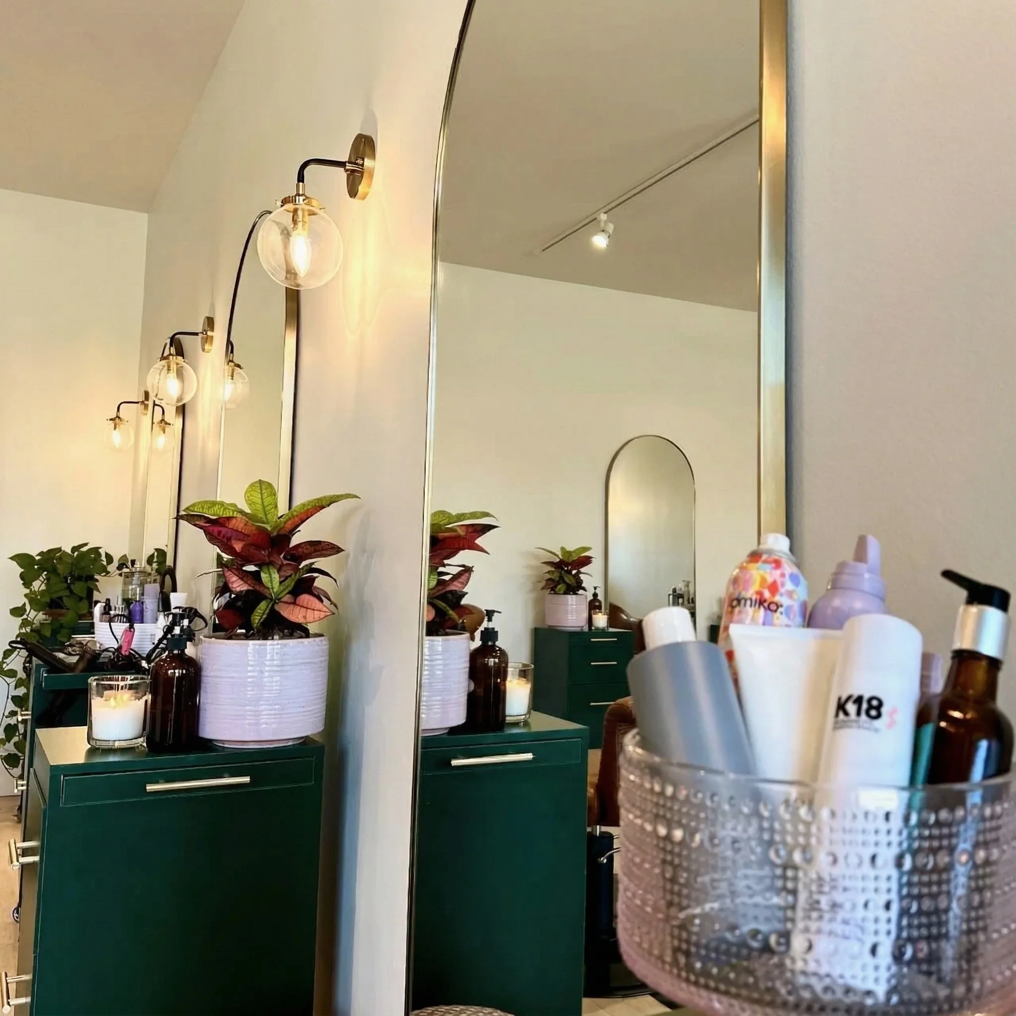 Arched mirror with plants